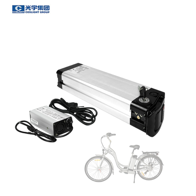 Coslight 48v 20ah Electric Bicycle Battery Lithium Ion Battery